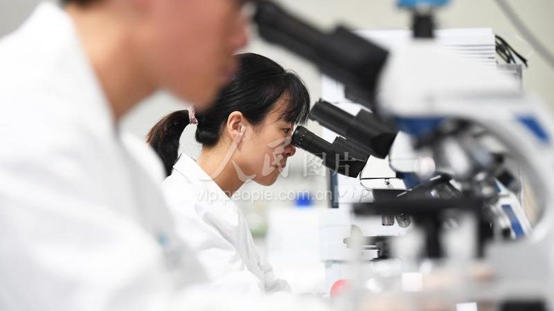 创新药CDMO服务商：揭秘其核心价值与选择要点