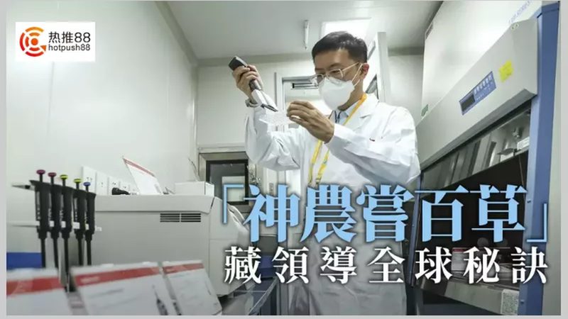 PCR检测定制，价格与价值的平衡之道