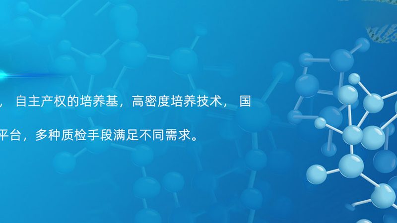 科研用细胞工厂：揭秘其核心要素与选型要点**