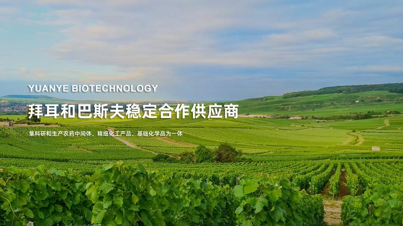 生物制品选品，如何避免踩坑？**
