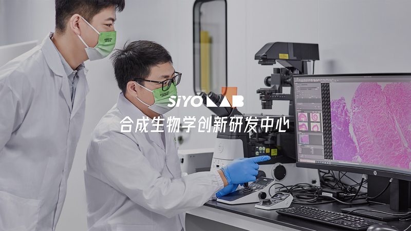 医用级离心管：成都批发市场的品质之选**