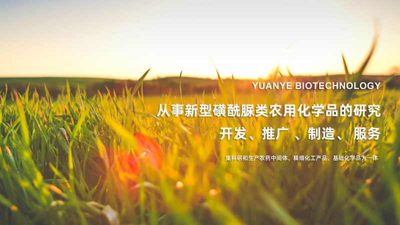 CDMO技术平台：揭秘医药研发背后的“隐形巨头