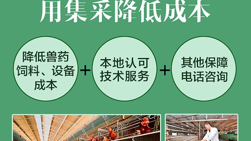 磷酸化抗体WB结果分析：关键步骤与解读技巧**