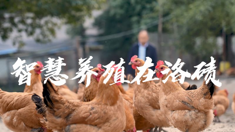 引物合成服务哪家好
