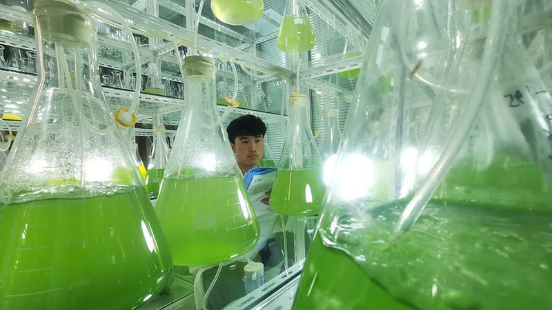 细胞培养基的成分分类与原理解析**